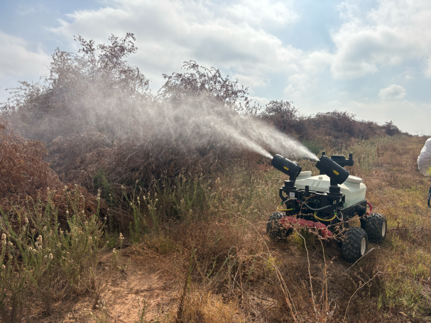 Tratamiento en poda de olivo