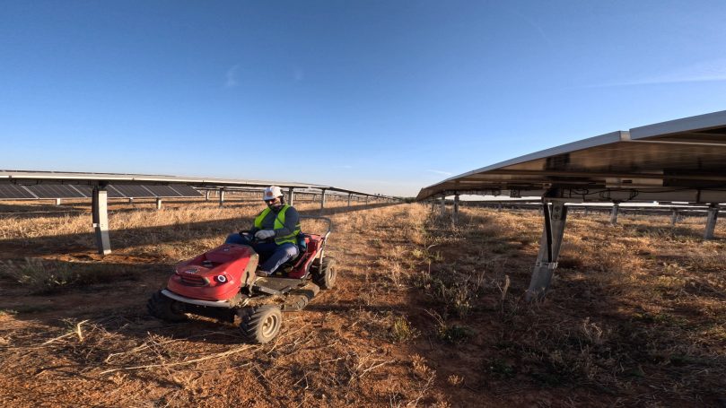 Desbroce de planta fotovoltaica