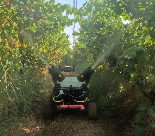Aplicación en viñedos Biológicos