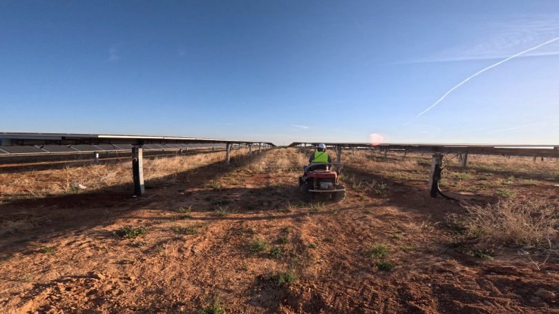Desbroce de planta fotovoltaica